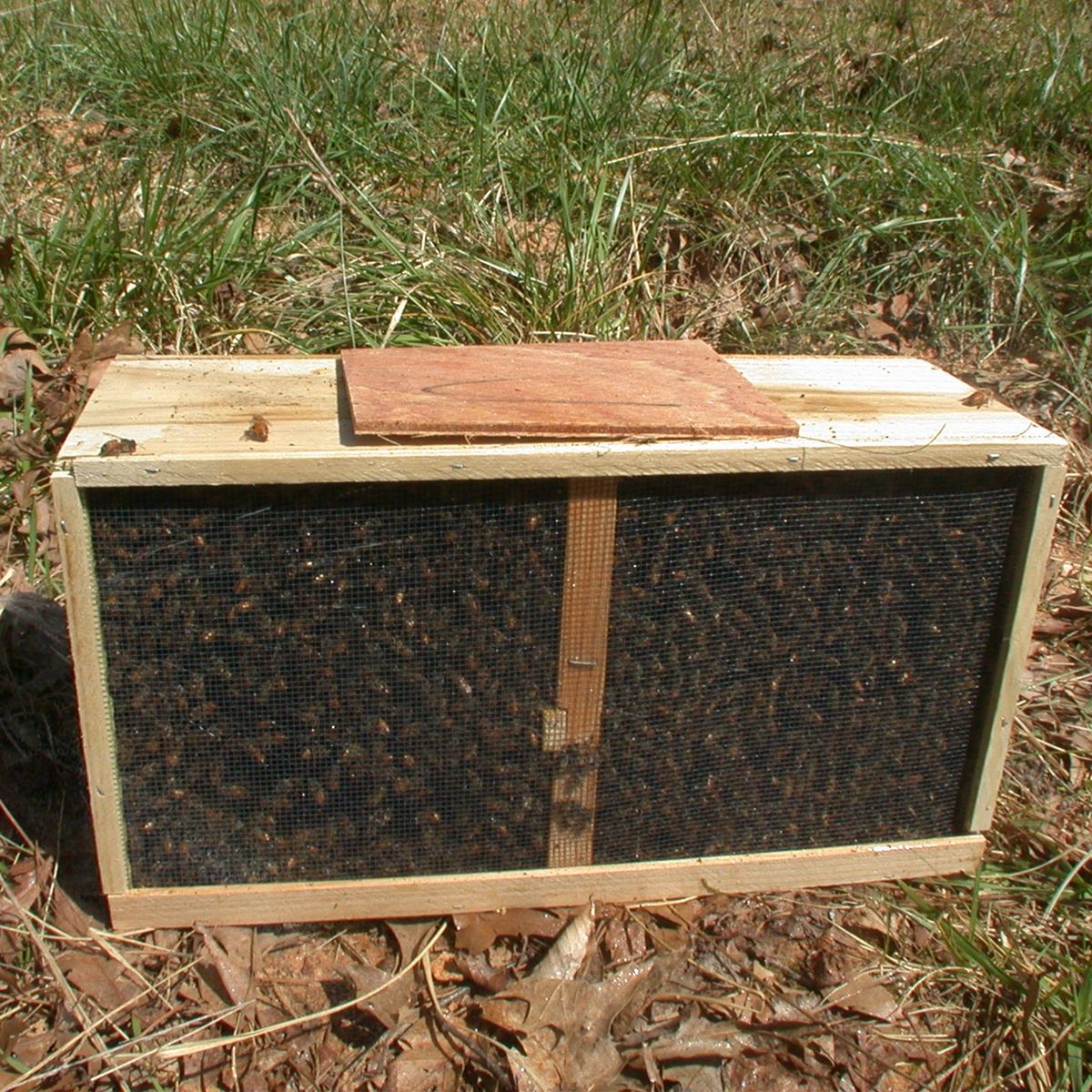 Honey Deposit Honey Deposit